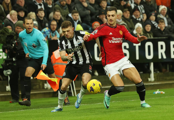 向日葵亲子 向日葵亲子