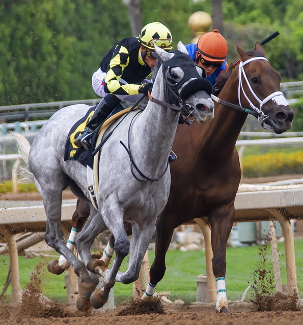 右路的速度 右路的速度